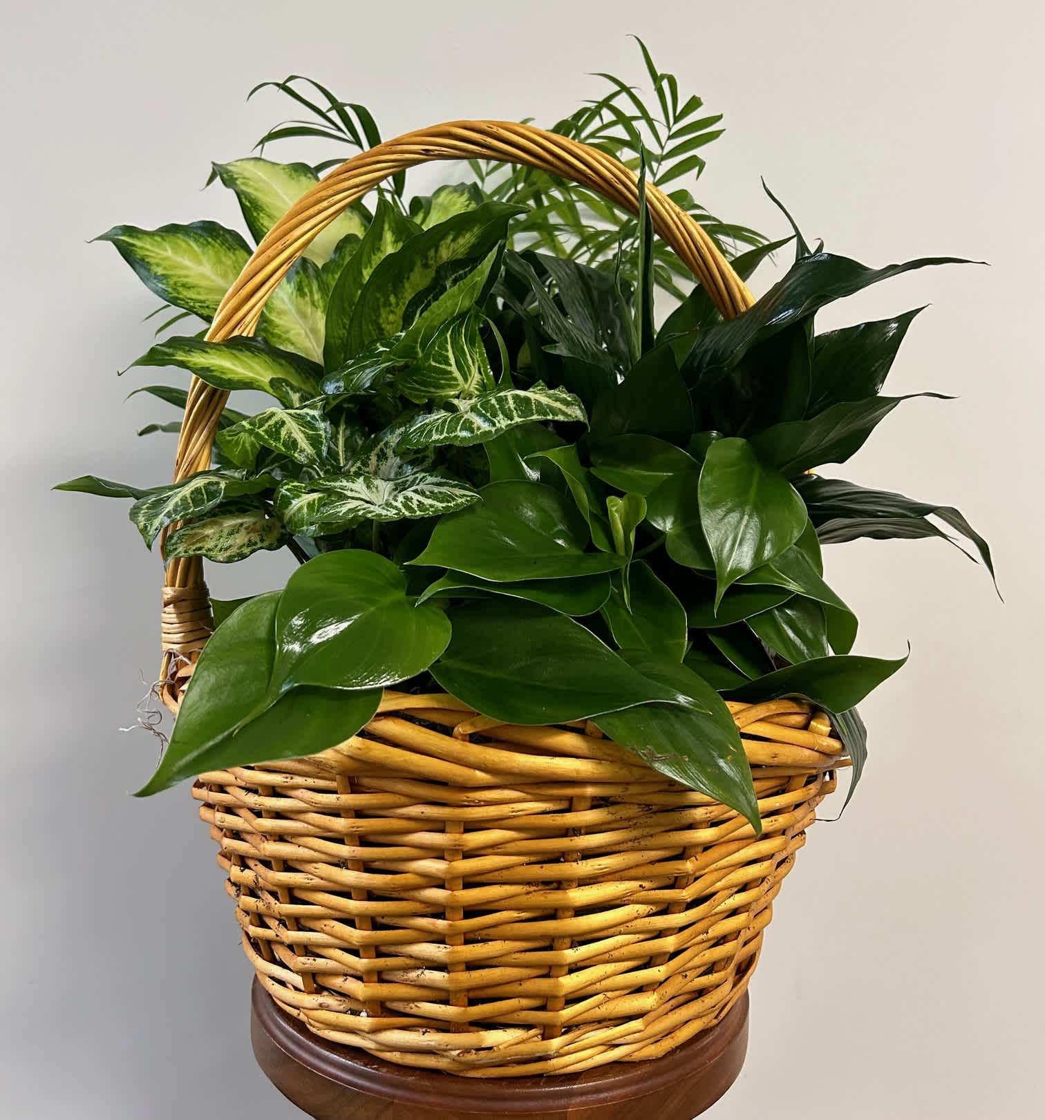 Large Basket Planter - Assorted plants in a large basket. 