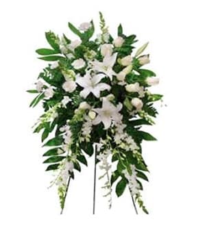Deluxe White Standing Spray - Deluxe White Standing Spray | Wilmington, Delaware Florist  Honor a life of purity, peace, and grace with our Deluxe White Standing Spray, thoughtfully designed by Petals Flowers and Fine Gifts in Wilmington, Delaware. This elegant funeral arrangement features a lush array of white roses, white lilies, white hydrangea, and white snapdragons, accented with fresh greenery and additional seasonal white blooms. Presented on a standing easel and finished with a classic white satin bow, this design offers a timeless and heartfelt tribute for funeral or memorial services.  Whether displayed at a church, funeral home, or graveside service, the Deluxe White Standing Spray offers a serene expression of sympathy, remembrance, and support.  As your trusted local florist in Wilmington, Delaware, we specialize in custom sympathy flowers delivered with care. We proudly offer same-day, tax-free delivery throughout Wilmington, Hockessin, Newark, Chadds Ford, Glen Mills, Kennett Square, and surrounding communities.  Why Choose Us?  * Elegant, handcrafted funeral flowers tailored with meaning * Locally owned and operated florist in North Wilmington, DE * Reliable, same-day delivery with personal attention to every order 