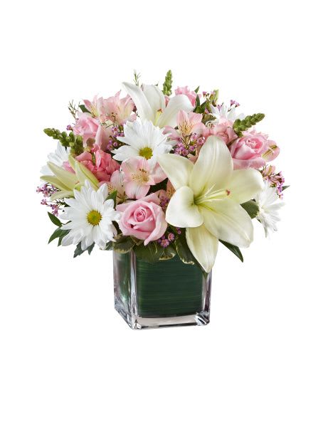 Healing Tears in Pink and White Healing Tears in Pink and White - Healing Tears in Pink and White is a beautiful mix of Pink and White flowers in a leaf lined cube vase. This arrangement is available in 3 sizes.