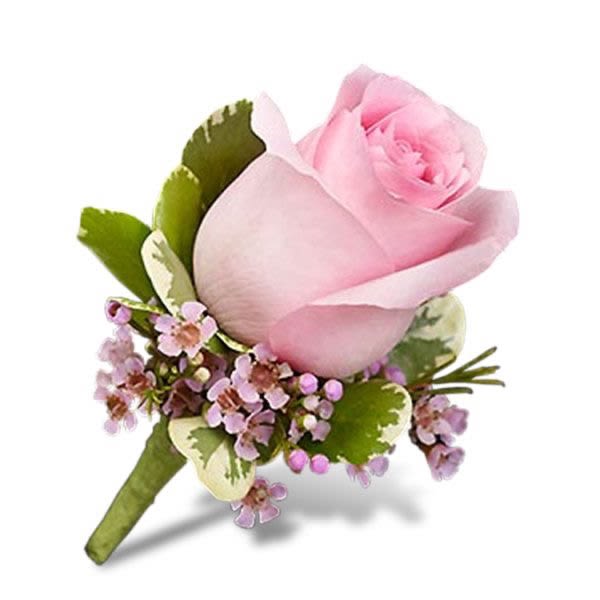 Pink Rose Boutonniere - A pink rose boutonniere arranged with pink wax flower and variegated pittosporum. Available in other colors. Call or visit the shop to place a custom order.