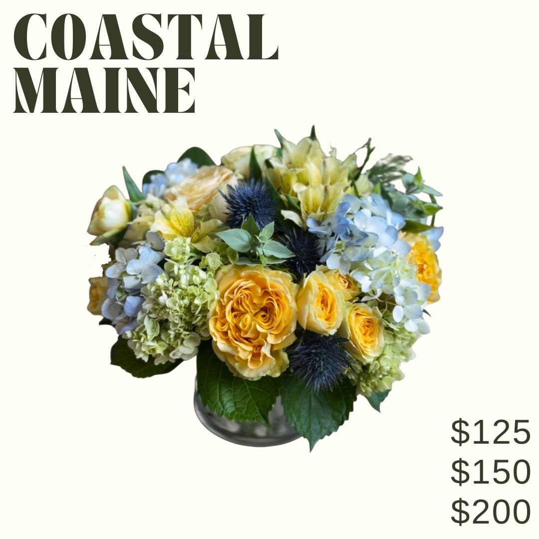 Coastal Maine Coastal Maine - Coastal Maine is a low and lush bouquet artfully designed in a clear glass vase using light blue & yellow blooms! *Image shown is valued at $125 *The $150 and $200 price points will be made fuller and more luxurious by adding additional blooms in the same color palette