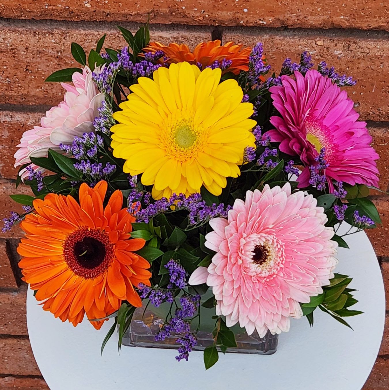 Bright & Cheerful Gerbera Daisy Cube Bright & Cheerful Gerbera Daisy Cube - Bright & Cheerful Gerbera Daisy Bouquet – Vibrant Flower Arrangement for Any Occasion Bring joy, color, and positive energy to someone’s day with our Bright & Cheerful Gerbera Daisy Bouquet—a playful and uplifting floral arrangement designed to spread happiness with every vibrant bloom. Handcrafted with fresh-cut, multicolored gerbera daisies, lush greenery, and seasonal fillers, this stunning display is a perfect pick-me-up for birthdays, celebrations, get-well wishes, or just because. Each bouquet is delivered in a modern glass cube vase and available in three sizes to suit your needs. Standard – 6 assorted gerbera daisies with fresh garden greens and seasonal fillers in a 5" cube vase (Approx. 7" W x 7" H) Deluxe – 12 assorted gerbera daisies in a 6" cube vase with more lush fillers and greenery Premium – 24 assorted gerbera daisies in a large 8" cube vase, perfect for making a bold and cheerful statement Perfect For: • Birthdays & celebrations • Get-well-soon surprises • Thinking-of-you gifts • Home or office décor • Same-day flower delivery in San Diego Why Choose This Arrangement? • Bold, bright gerbera daisies in vibrant colors • Hand-designed for a cheerful, modern look • A heartfelt way to lift someone's mood instantly Available for local delivery throughout San Diego and surrounding areas Looking to send flowers that instantly brighten a room? Our Gerbera Daisy Bouquet is the perfect choice for cheerful, unforgettable gifting.
