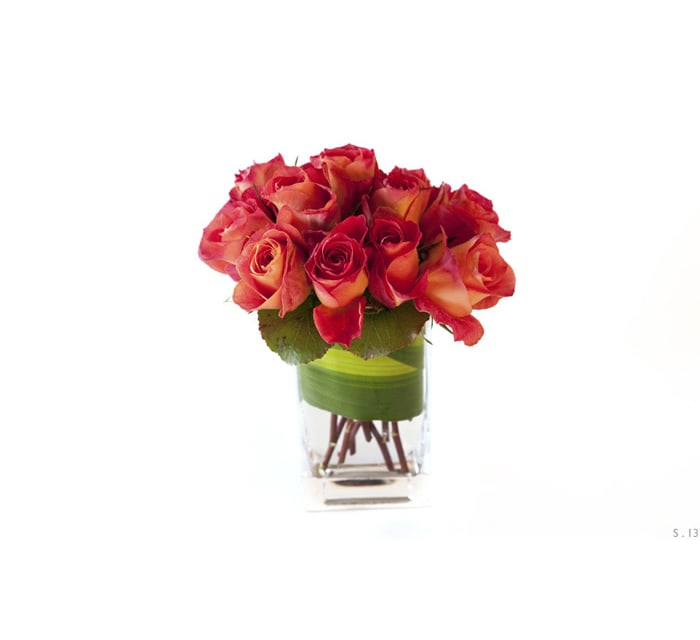 Charlotte - Classic Roses.
