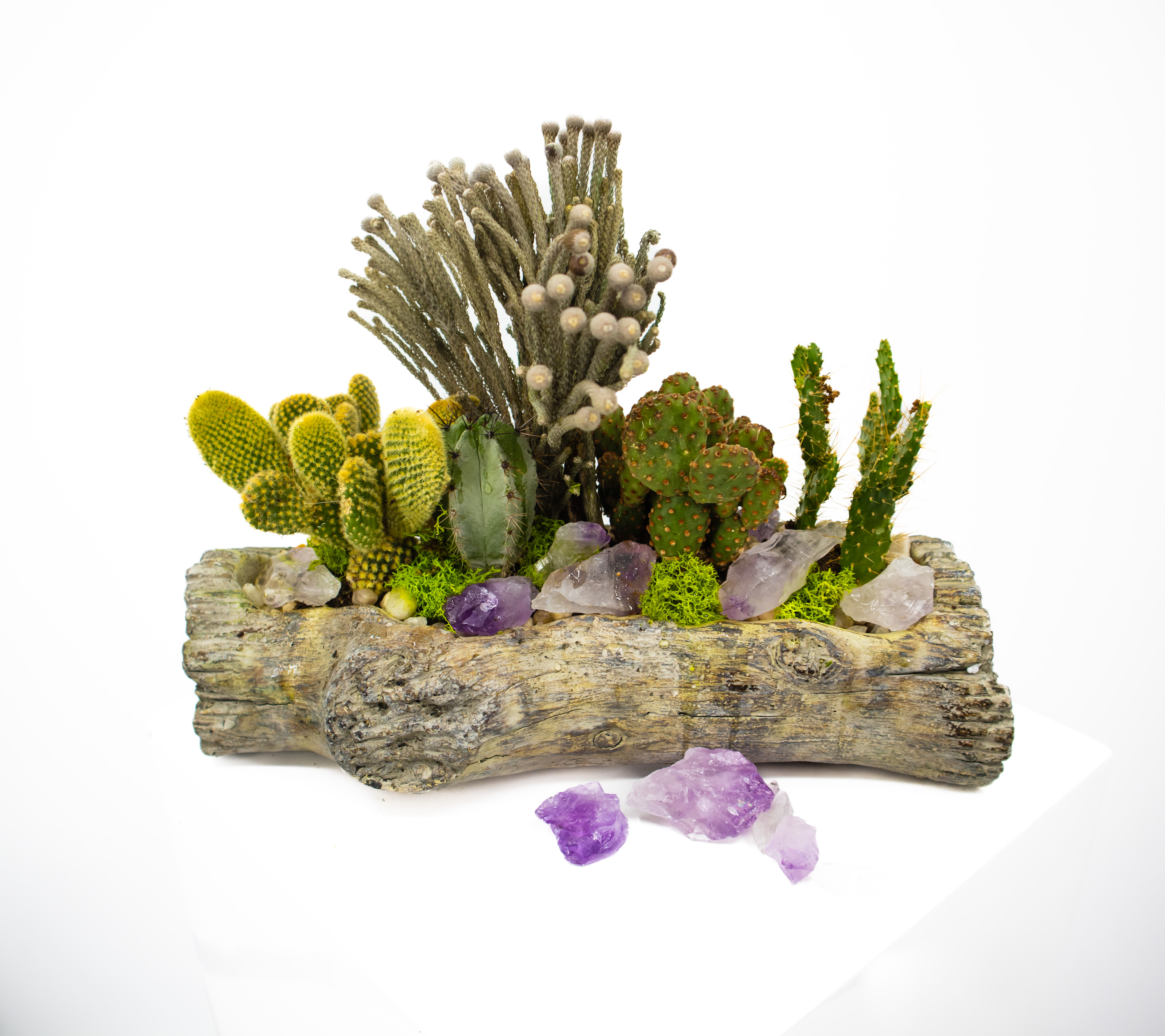 Ruben - The use of a small piece of faux driftwood combined with the rugged texture of cactus and succulents is a must for any space. This unique style is sure to provide great natural energy and jump start any conversation.