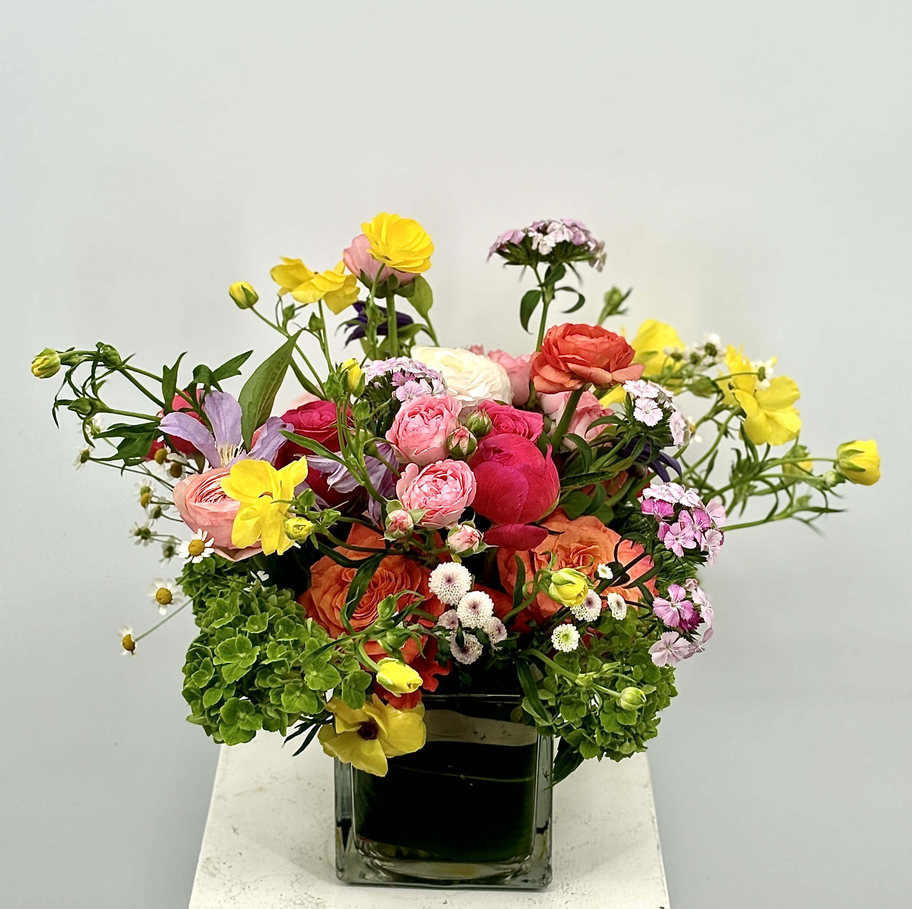 Stratton  - Delicate and colorful befitting every occasion 