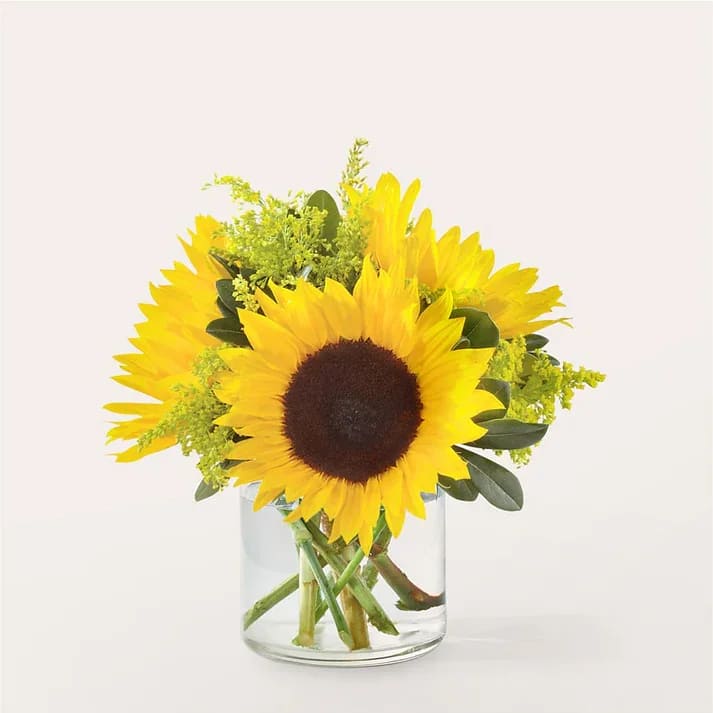 Beaming Sunflower Bouquet  - Let those warm rays brighten their day, with an arrangement of sunny stems to make life sweeter. Details Designed by florists, ready to display. For long–lasting blooms, replace the water daily. We suggest trimming the stems every couple days. Pet Safety Precautions: This bouquet or plant may include flowers and foliage that are known to be toxic to pets. To keep them safe, be sure to keep this arrangement out of your pet's reach.