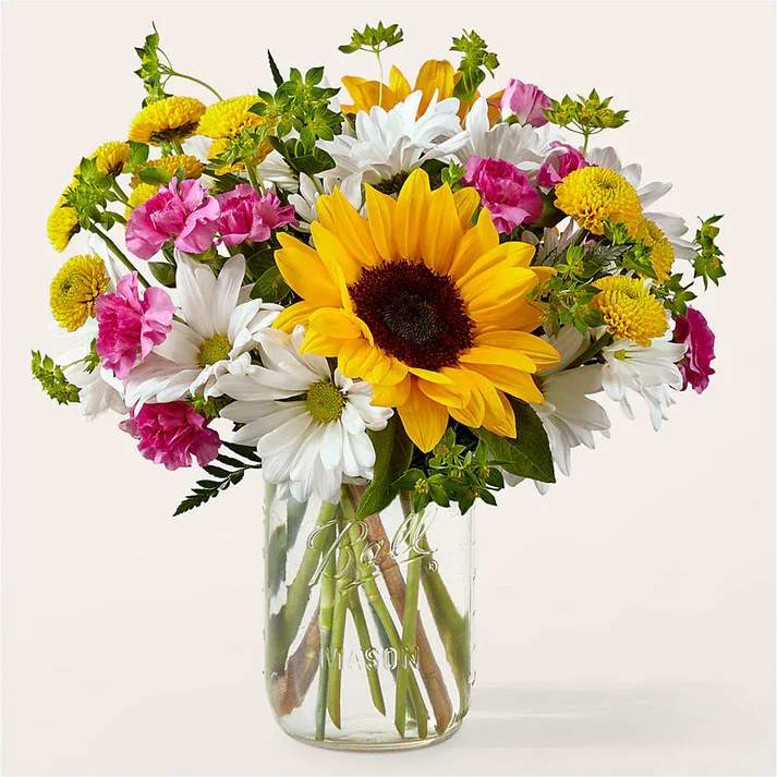 Aglow Bouquet - Bask in the light of these sunflowers, colorfully accented by daisies and button poms, setting their day aglow. Details Designed by florists, ready to display. For long–lasting blooms, replace the water daily. We suggest trimming the stems every couple days. Pet Safety Precautions: This bouquet or plant may include flowers and foliage that are known to be toxic to pets. To keep them safe, be sure to keep this arrangement out of your pet's reach.