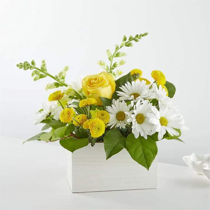 Sun Salutation Box Bouquet  - Let the sunshine in with our Sun Salutation Box Bouquet. This arrangement features a beautiful mix of white blooms and bold florals. Details The Deluxe Bouquet is approximately 14&quot;H x 14&quot;W. Designed by florists, ready to display. For long–lasting blooms, replace the water daily. We suggest trimming the stems every couple days. Pet Safety Precautions: This bouquet or plant may include flowers and foliage that are known to be toxic to pets. To keep them safe, be sure to keep this arrangement out of your pet's reach.