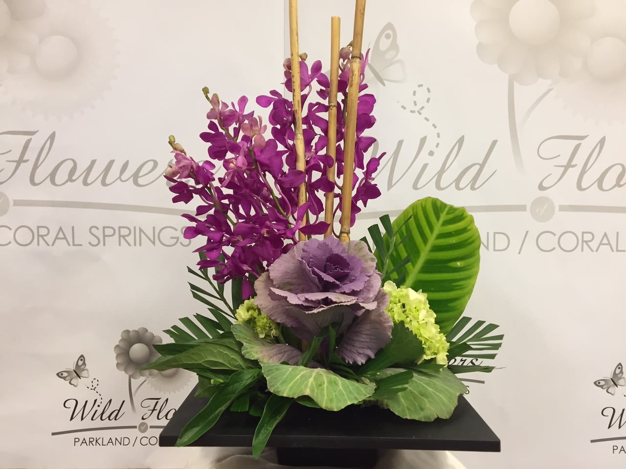 Orchid Madness - Celebrate the beauty of diversity with our unique arrangement featuring the unexpected pairing of orchids and kale. With our same-day flower delivery, you can promptly share this stunning combination that exemplifies the harmonious blend of distinct elements coming together in perfect unity. The graceful elegance of orchids, juxtaposed with the robust and textured presence of kale, creates a visual masterpiece that inspires. Let this floral arrangement serve as a reminder for us all to embrace the differences around us and, like our flower designs, come together to create something truly beautiful. Order now to share this meaningful and exquisite bouquet, encouraging a collective celebration of diversity and unity.
