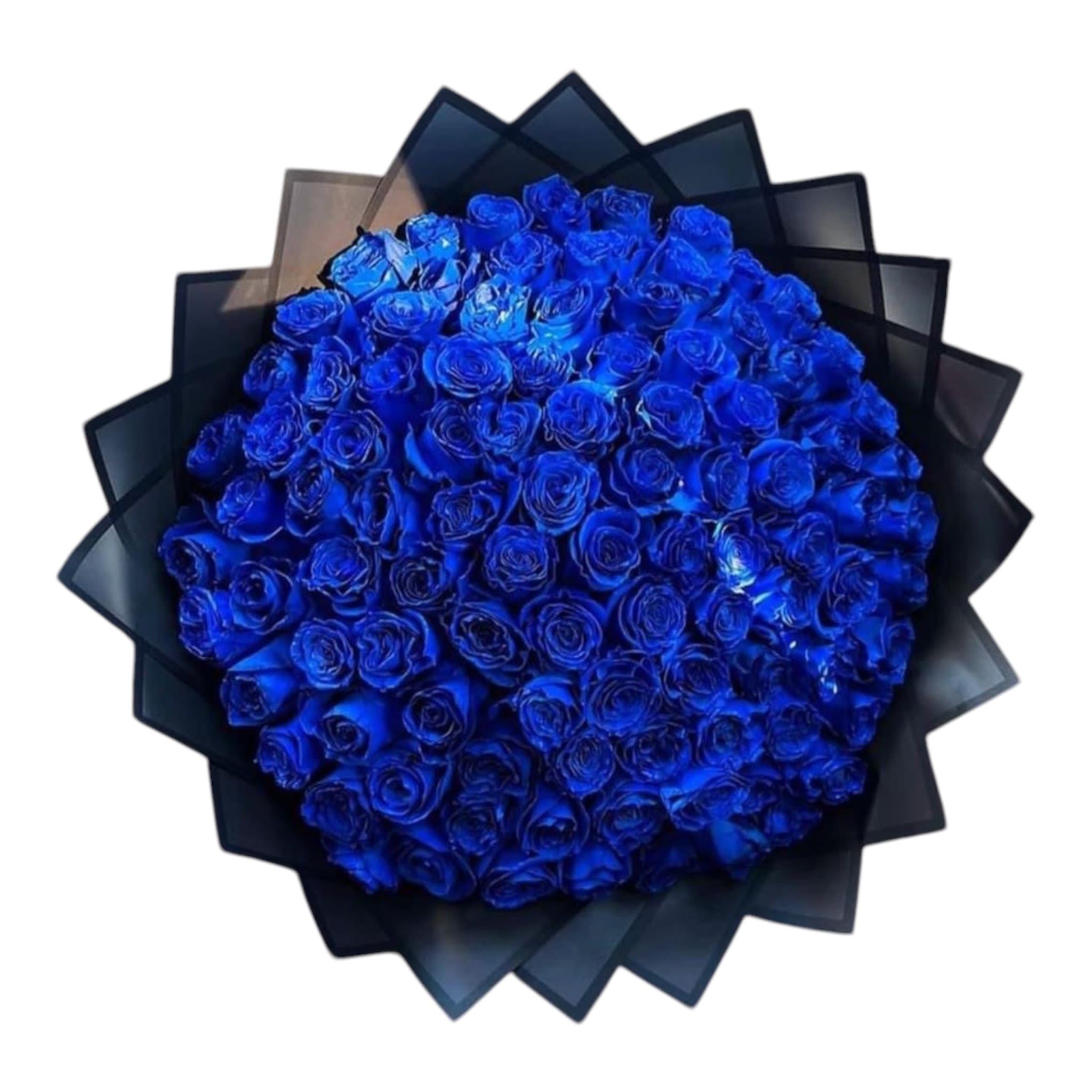 75 Blue Roses Bouquet - Beautiful bouquet of 75 premium Ecuadorian roses wrapped in decorative paper perfect to surprise your loved one.