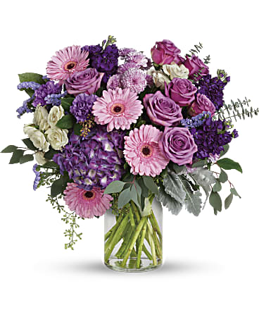 Magnificent Mauves Bouquet - This harmonic mix of deep purple hydrangea with light lavender roses and sweet pink gerberas is a dreamy delight on any occasion. This magnificent bouquet features purple hydrangea, lavender roses, crÃ¨me spray roses, pink gerberas, lavender carnations, purple stock, lavender cushion spray chrysanthemums, lavender sinuata statice, dusty miller, spiral eucalyptus, seeded eucalyptus, silver dollar eucalyptus, and lemon leaf. Delivered in a clear milk jug vase.