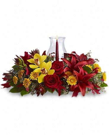 Glow of Gratitude Centerpiece - Graceful. Glowing. Gorgeous. This stunning centerpiece will make setting the mood and the Thanksgiving table nothing less than perfect. Fall's most fabulous flowers surround a candle inside hurricane glass. Now that's true class. Brilliant yellow cymbidium orchids, red roses, burgundy asiatic lilies, bronze cushion spray chrysanthemums, red leucadendron, eucalyptus and red oak leaves, are on dazzling display - surrounding an artisan candle and hurricane glass. A glowing way of showing gratitude.