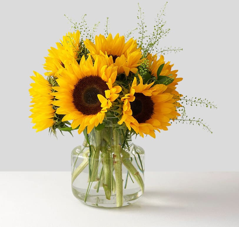 Sonnie - It's sunflower season, which means our locally sourced sunflowers are in full bloom!  This classic bundle of flowers in a clear glass vase is a timeless gathering that's ready to brighten up you recipient's day for any occasion! 