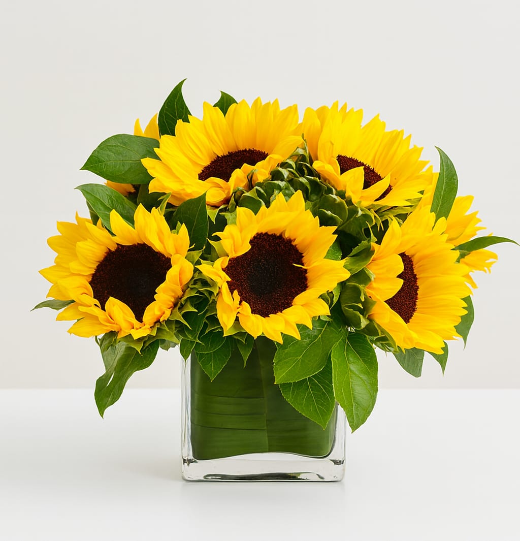 Sunshine Cube - Nothing brings out the sunshine in someone's smile like a fresh bowl of sunflowers. Our leaf lined cube glass vase is chock filled with fresh sunflowers and assorted foliage. 