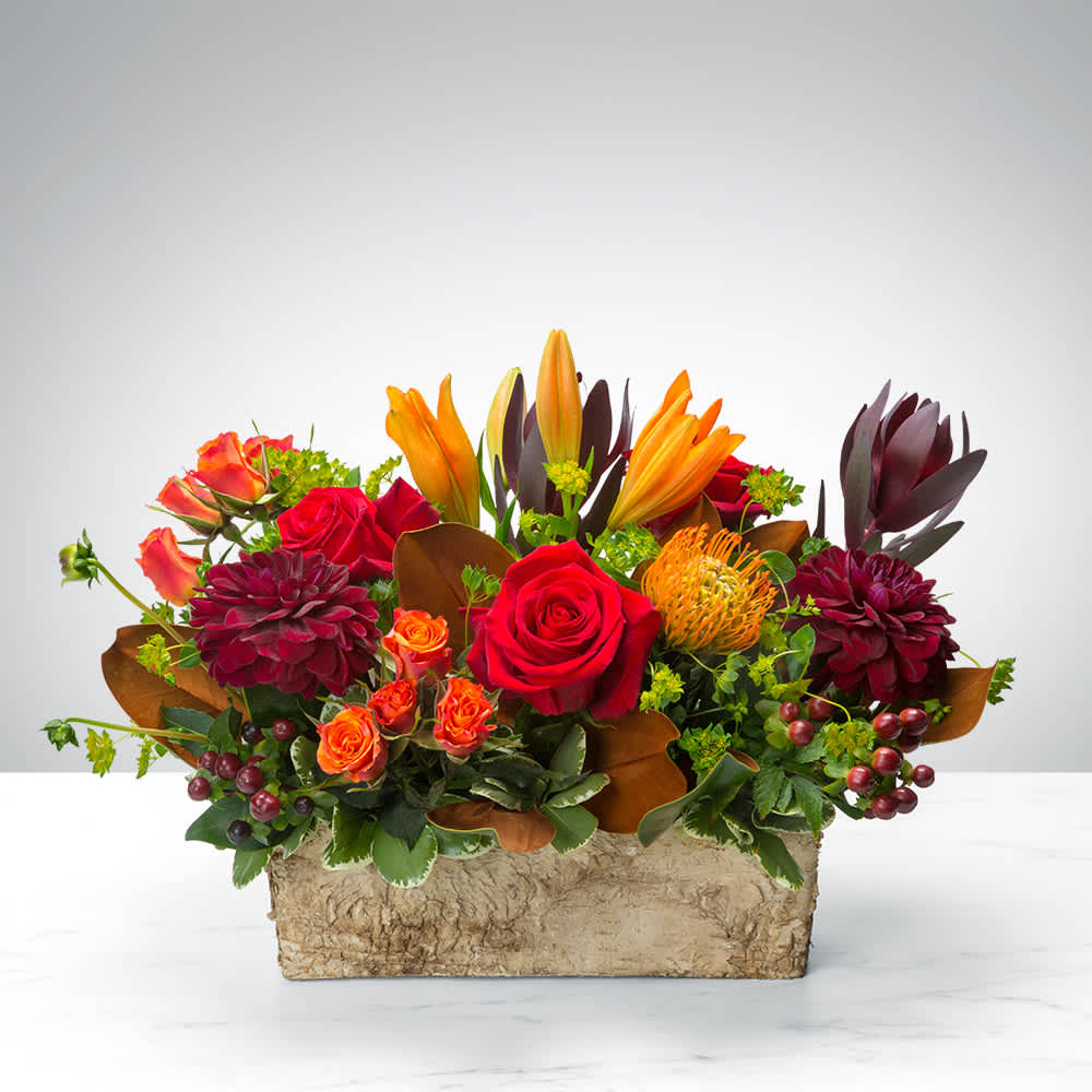 Box of Autumn by BloomNation™ - Wouldn’t life be more convenient if seasons came in boxes? We already have boxed wine, boxed lunches, and boxing matches. Seasons need to catch up. Now they have. Introducing the Box of Autumn by BloomNation. Whoever you’re sending this to will smile with seasonal joy upon receiving this abundant box of seasonal blooms. 