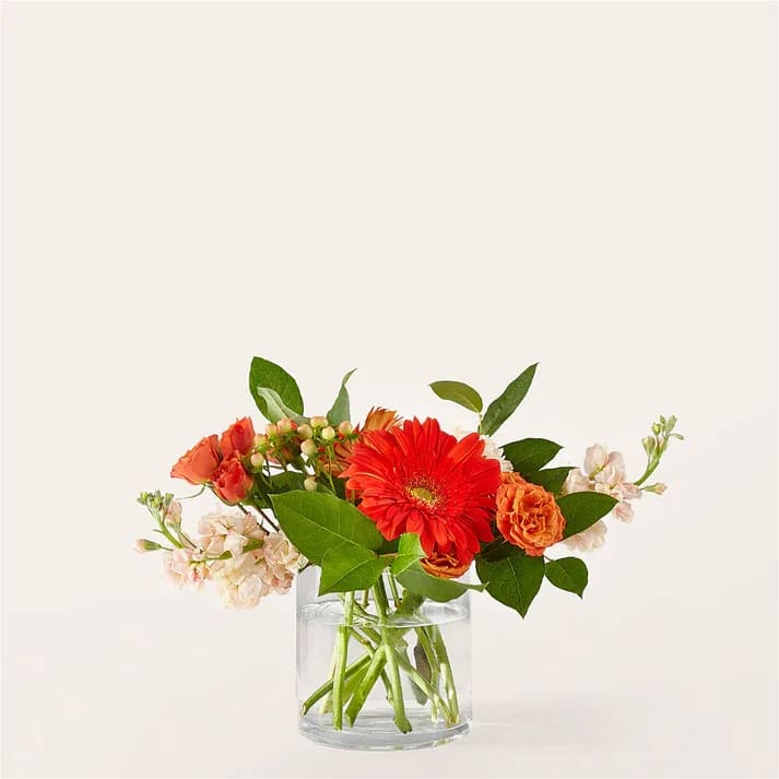 Paloma Please Bouquet - Citrusy and bright, this orange and peach bouquet will provide a splash of joy and positivity for any occasion. Details The Deluxe Bouquet is approximately 14&quot;H x 16&quot;W. Designed by florists, ready to display. For long–lasting blooms, replace the water daily. We suggest trimming the stems every couple days. Pet Safety Precautions: This bouquet or plant may include flowers and foliage that are known to be toxic to pets. To keep them safe, be sure to keep this arrangement out of your pet's reach.