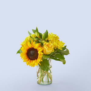  The Cheerleader Bouquet - Whether you are someone's cheerleader or they are your cheerleader - this brilliant bouquet will brighten anyone's day! Vase style may vary. 