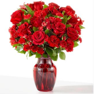 The Heartstrings Bouquet (exquisite) The Heartstrings Bouquet (exquisite) - Tug on their heartstrings this Valentine's Day with a heartfelt, monochromatic arrangnement to share how much they mean to you. Details The Deluxe Bouquet is approximately 16"H x 12"W. Designed by florists, ready to display. For long–lasting blooms, replace the water daily. We suggest trimming the stems every couple days. Pet Safety Precautions: This bouquet or plant may include flowers and foliage that are known to be toxic to pets. To keep them safe, be sure to keep this arrangement out of your pet's reach.