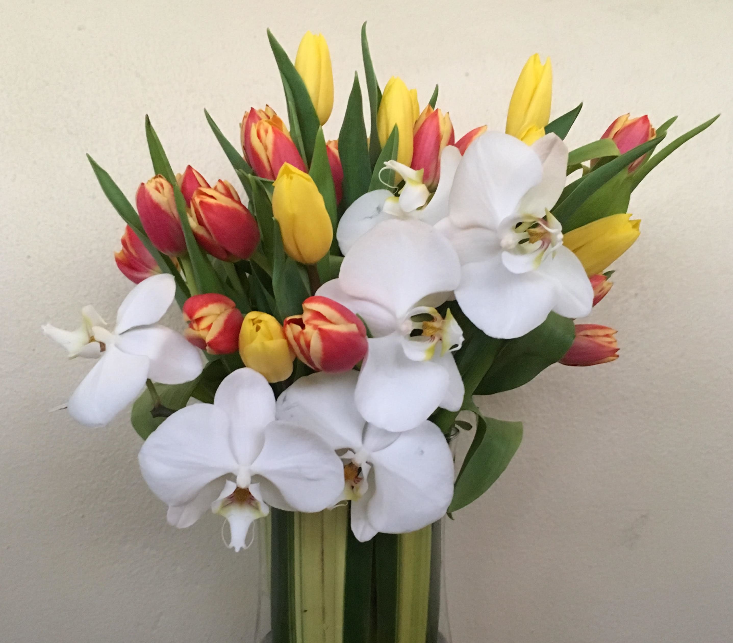 Creative Club - Tulips , Orchids 
