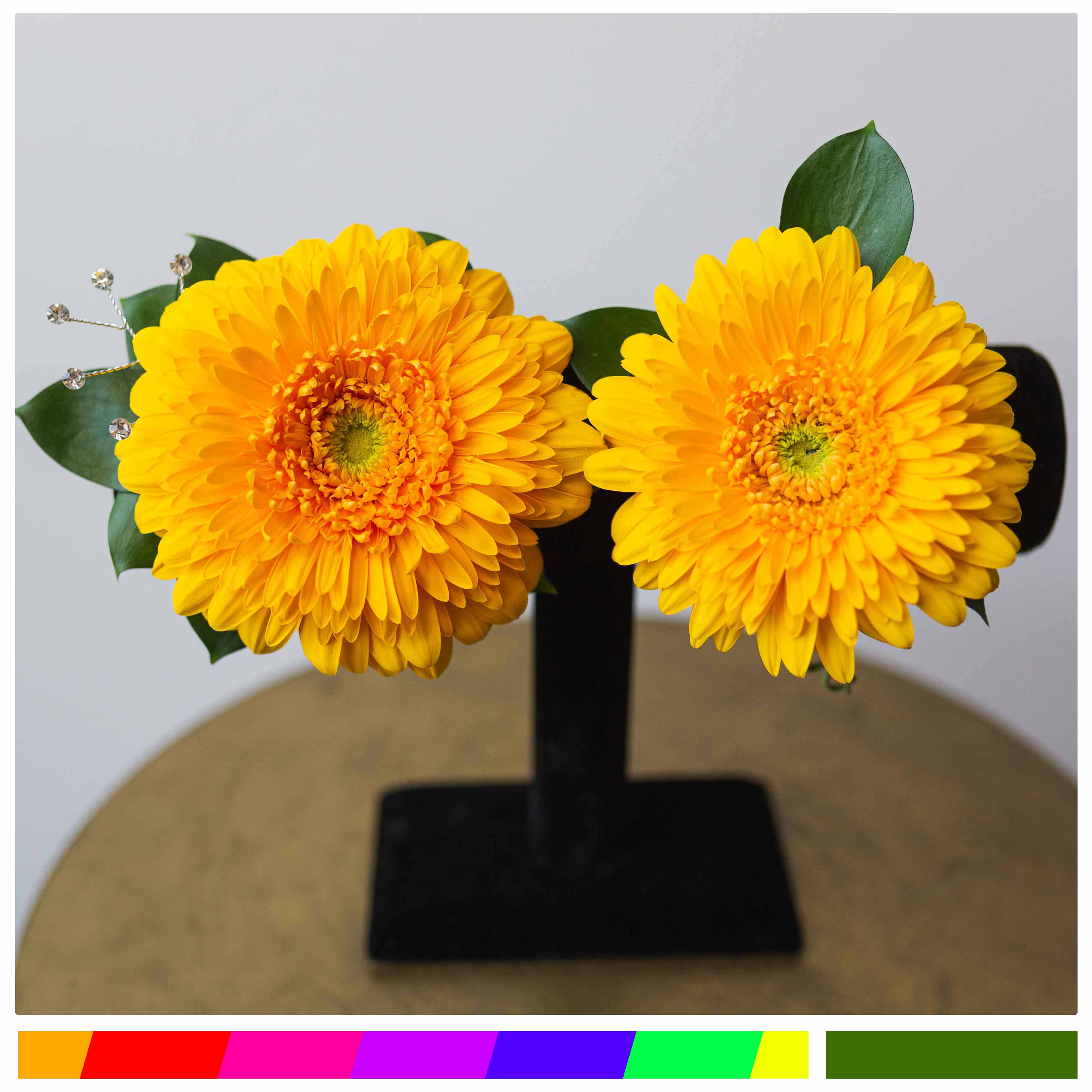 Classy Gerbera Daisy Corsage and Boutonniere Set Classy Gerbera Daisy Corsage and Boutonniere Set - Elevate your prom attire with our classy Gerbera daisy corsage and boutonniere set. Please note your color preferences in the special instructions box when ordering. Want to speak with a designer? Give us a call. 507-508-1095 Want to add some extra flare? Upgrade to our deluxe or premium options.