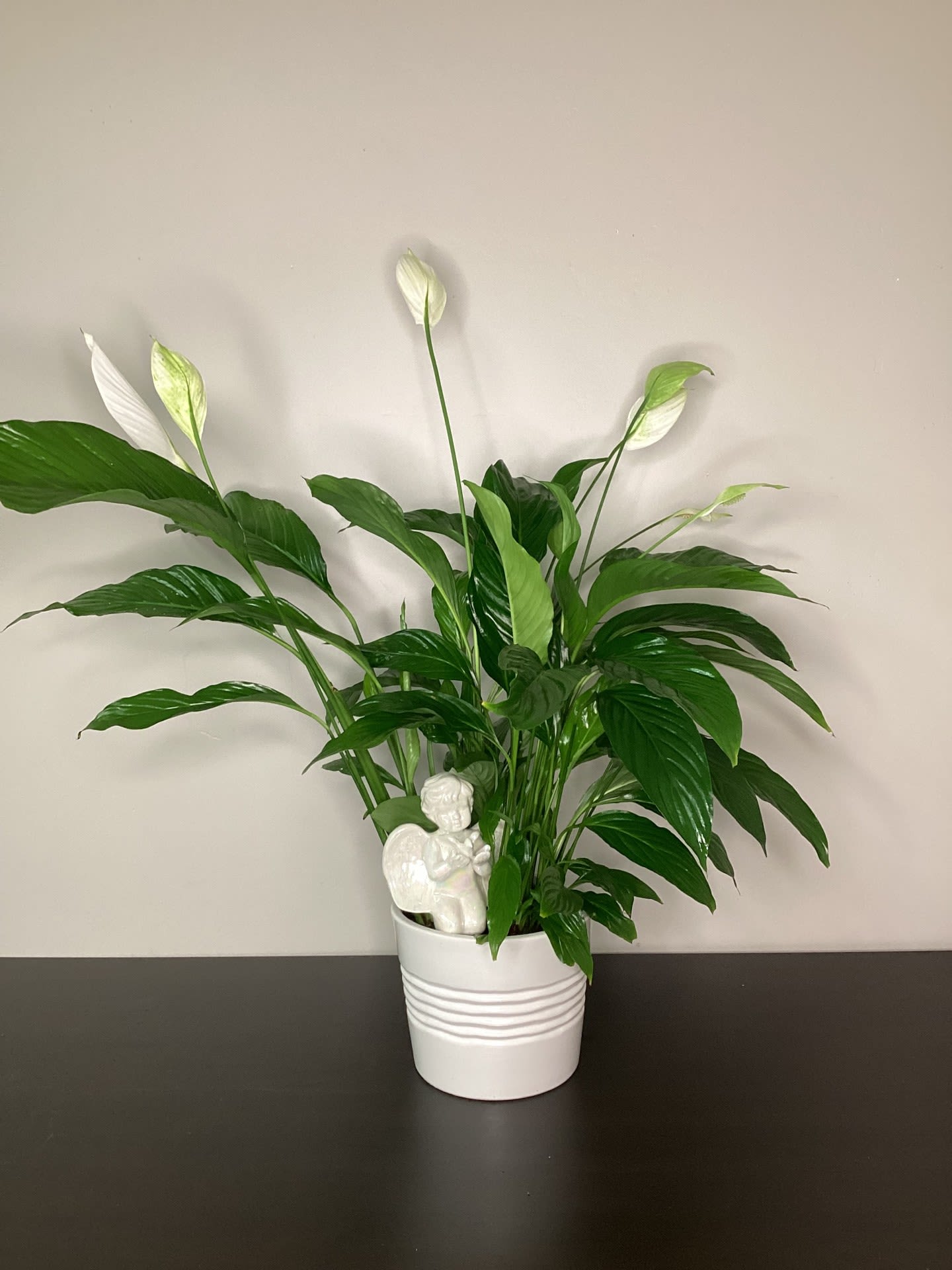 Angel of Mine Angel of Mine - 8" Peace lily with the iridescent kneeling angel baby.