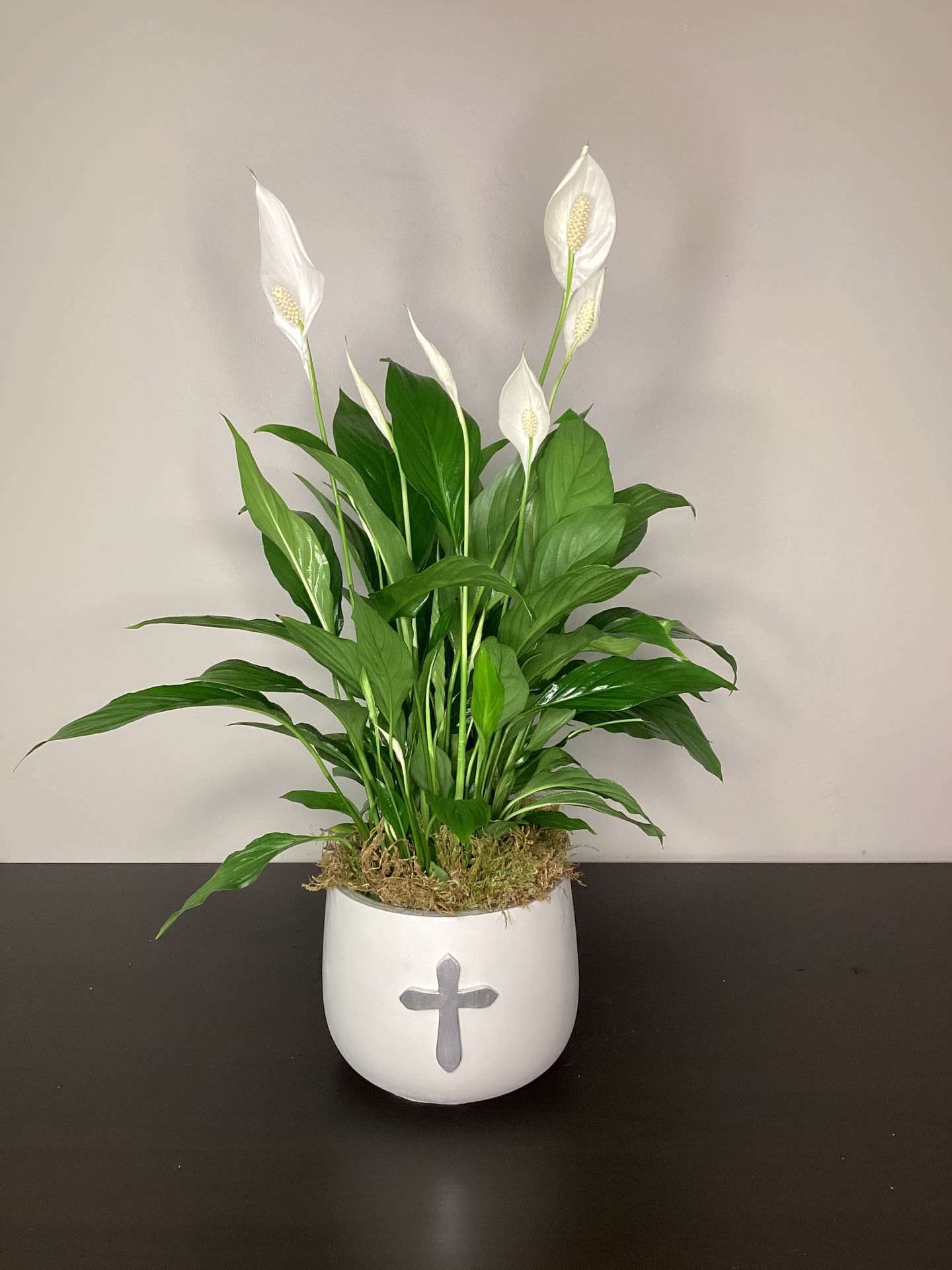 Peace &amp; Blessings - 6&quot; Peace lily in heavy stone container with embossed silver cross. 