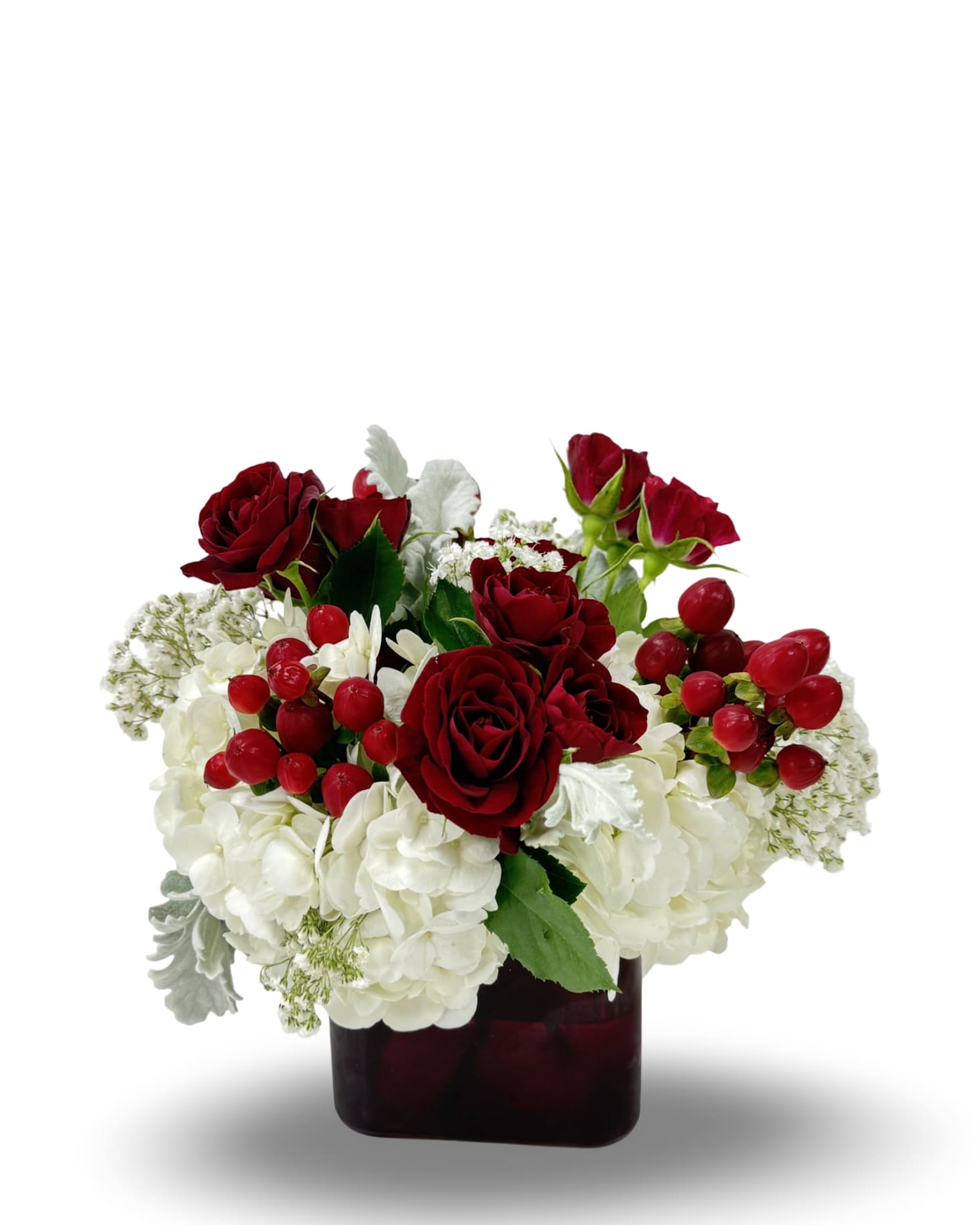Cranberry Cloud Cranberry Cloud - Elegant and festive, Cranberry Cloud blends the richness of deep red roses with the soft beauty of fluffy white hydrangea. Accents of bright red berries add a cheerful pop. Arranged in a sleek red glass vase, this bouquet is perfect for holidays, romantic gestures, or adding a touch of luxury to any occasion. Approximately 9” h x 8” w