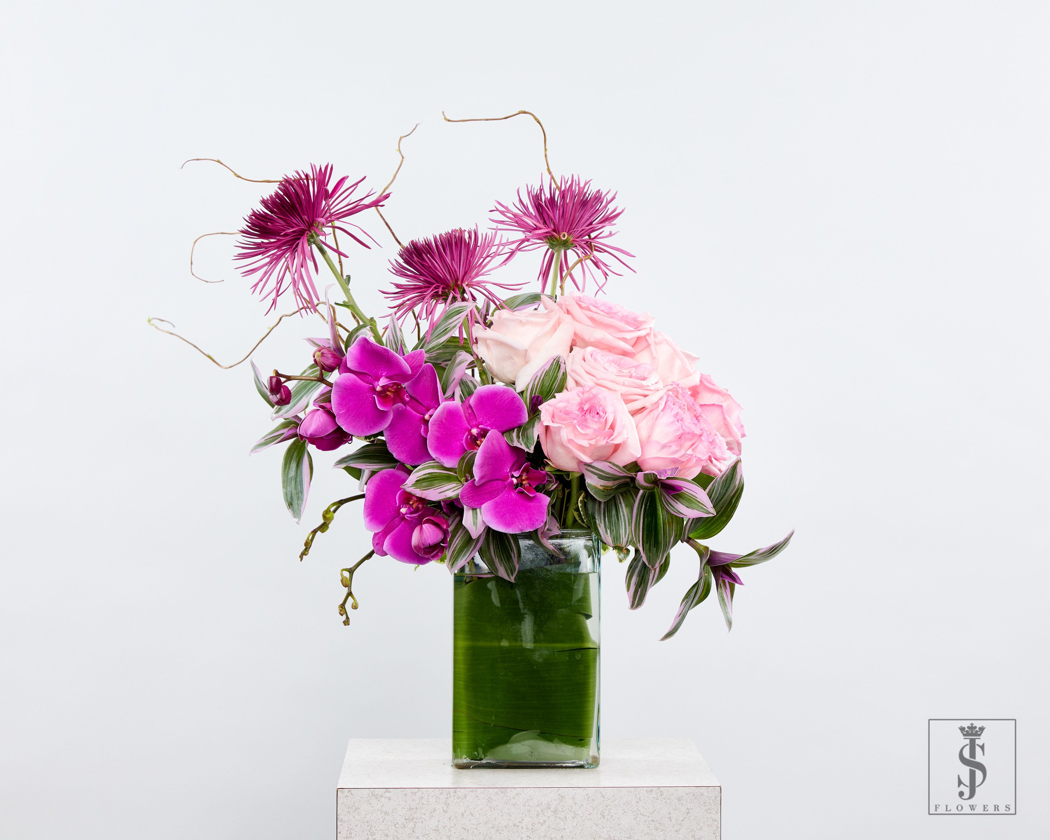 Celebration in Bloom - Elevate your floral game with this modern luxe arrangement featuring a breathtaking mix of vivid fuchsia orchids, blush pink roses, and exotic spider chrysanthemums. Expertly styled in a leaf-wrapped square glass vase, this chic design merges soft romance with artistic flair — ideal for making a statement.  Perfect for birthdays, anniversaries, luxury gifting, boutique events, and office receptions, this arrangement blends modern aesthetics with timeless florals. Handcrafted with fresh flowers and now available for same-day delivery across DFW metro.