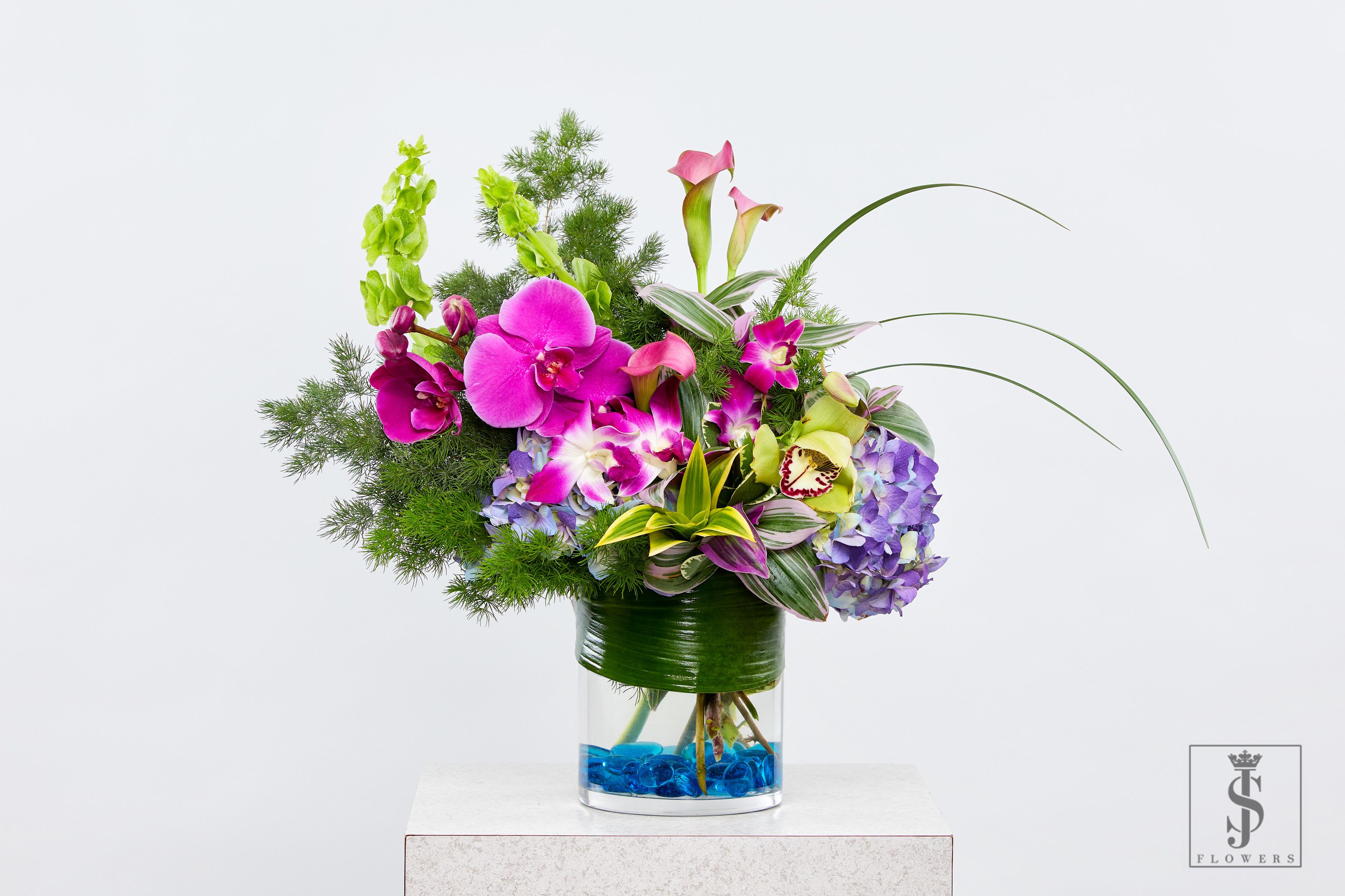 Tropical Majesty - Bring bold elegance to any room with this vibrant floral masterpiece, designed with an exotic blend of phalaenopsis and dendrobium orchids, green cymbidium orchids, purple hydrangeas, pink calla lilies, and bells of Ireland, finished with cascading greens and tropical textures. Wrapped in lush green foliage and set in a clear glass vase with vivid blue water gems, this design is a showstopper.  Ideal for luxury gifting, grand openings, hotel lobbies, or modern event décor, this arrangement captures attention with its dramatic height, vibrant hues, and sleek styling. Now available for same-day flower delivery across the DFW area.  