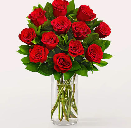 Dozen Red Rose Bouquet - Beautiful 12 stems roses in a clear vase with a bow add a stuffed animal, box of chocolates, or balloon for a final touch