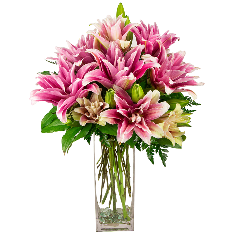 Exotic Rose Lily Boquete Exotic Rose Lily Boquete - The Exotic Rose Lily Boquete is handcrafted with long stemmed Rose Lilies in a tall glass vase.