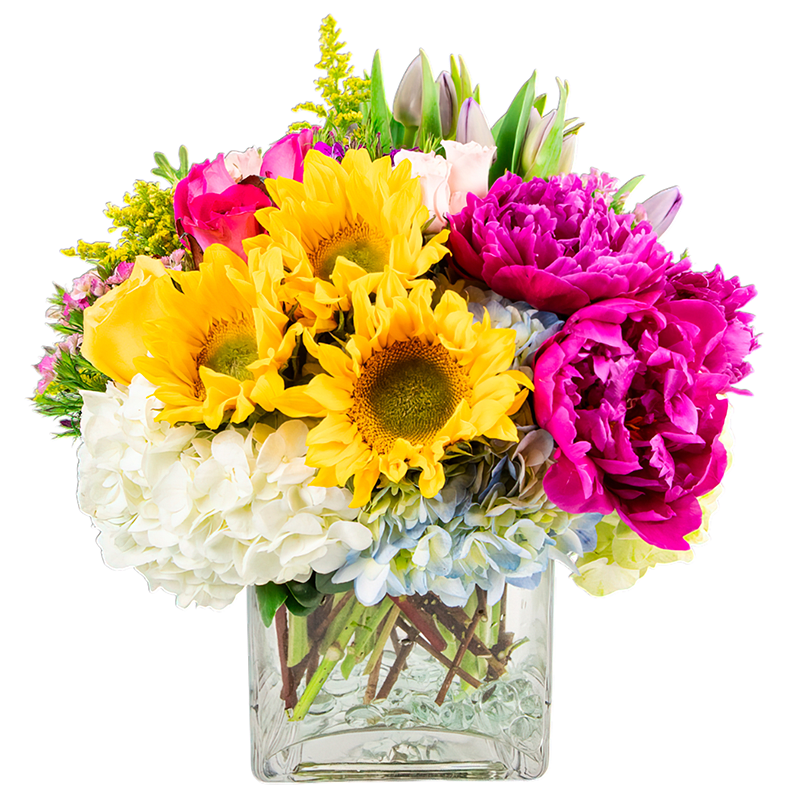 Peony Burst - The Peony Burst is handcrafted with White Hydrangeas, Blue Hydrangeas, Sunflowers, Purple Tulips, Purple Dianthus, How Pink Peonies, Light Pink Spray Roses, Hot Pink Roses, and Yellow Solidago.