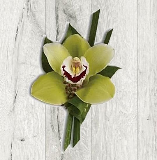 Botanical Orchid Boutonniere Botanical Orchid Boutonniere - A handmade boutonniere crafted from a green cymbidium orchid and an in-store selection of our freshest greens.