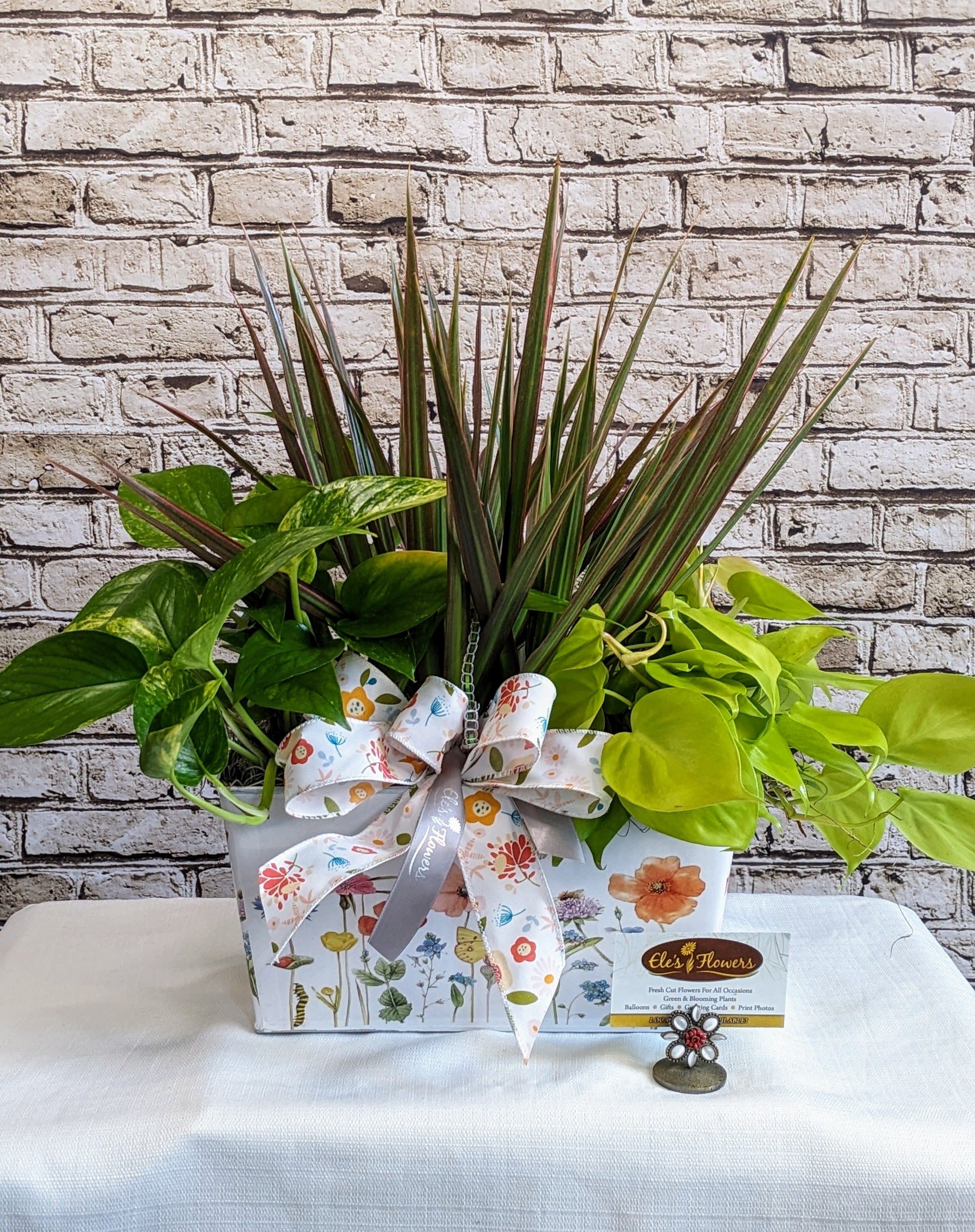 Garden Delight Dish Garden - A cheerful blend of texture and color, this dish garden features a striking red-tipped dracaena, lush variegated pothos, and a bright lime green philodendron. Each plant is carefully arranged in a rectangular tin adorned with a lively floral print, perfectly complemented by a colorful matching ribbon. Bursting with charm and easy-care greenery, this arrangement makes a delightful gift or a fresh accent for any space, bringing a pop of nature and a splash of color that lasts.   Approximate Dimensions: 18&quot;H x 19&quot;W