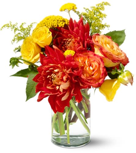 Teleflora's Dazzling Dahlias Teleflora's Dazzling Dahlias - With its bi-colored roses brilliant yellows and dramatic orange dahlias this bouquet adds a pinch of pizzazz to any table desk or room. Send it to dazzle as well as delight. A classic clear cylinder vase filled with yellow yarrow orange dahlias orange bi-color roses yellow spray roses and solidaster. Approximately 9" (W) x 11" (H) Orientation: All-Around As Shown : TF-WEB16