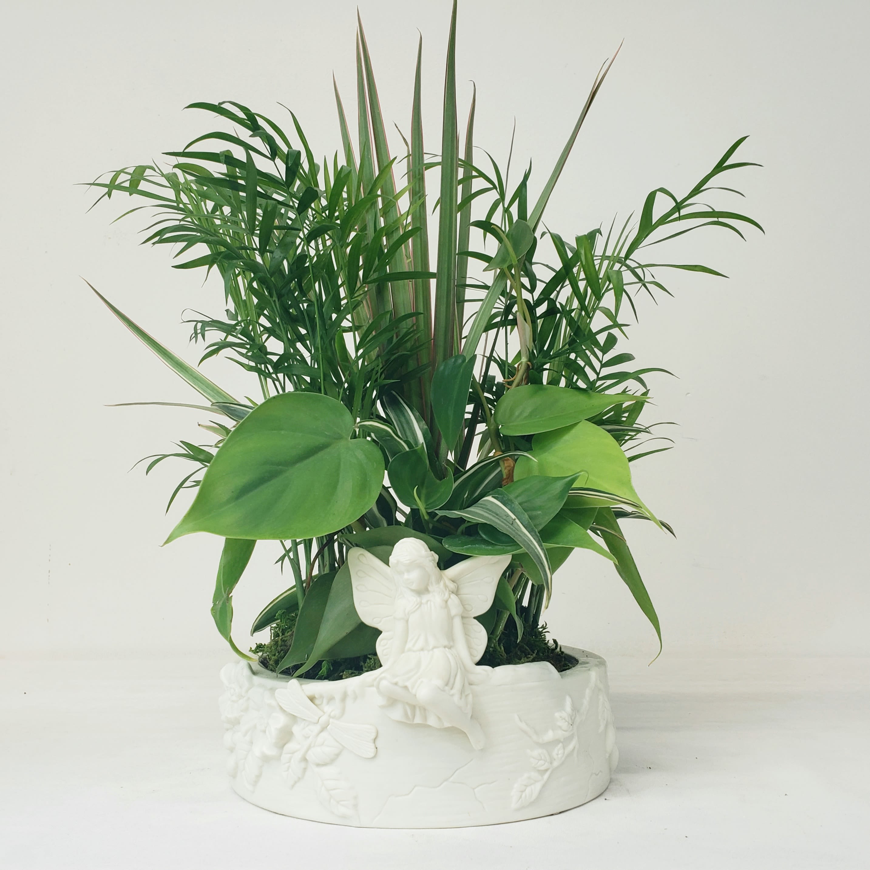 Angel Dish Garden - Lush and green 8&quot; ceramic dish garden. Finely detailed angel with decorative natural scene surrounding. Makes a wonderful keepsake.