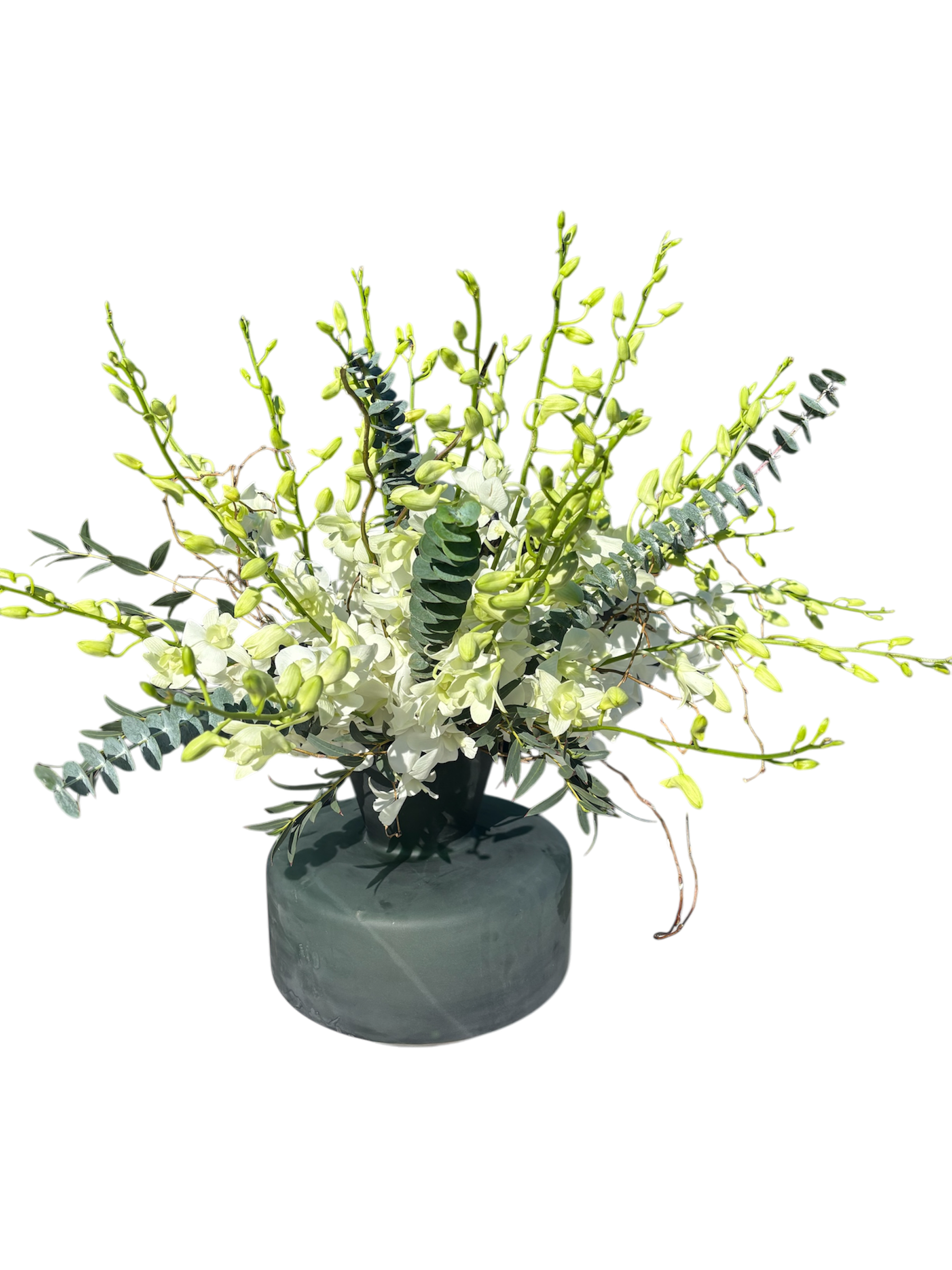 Bella Verde - A sophisticated display of white dendrobium orchids is elegantly arranged in a deluxe Esmeralda glass vase. The sleek, green-tinted vase enhances the pure, delicate beauty of the blooms, creating a stunning and modern centerpiece.