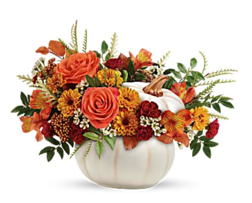 Enchanted Harvest Bouquet Enchanted Harvest Bouquet - Add a touch of enchantment to your fall gatherings with this magnificent mix of autumnal roses and mums, gathered in a white ceramic pumpkin that's sure to be an annual décor favorite! •Orange roses, orange alstroemeria, miniature maroon carnations, and yellow viking daisy spray chrysanthemums are accented with white waxflower, red cottage yarrow, huckleberry, grevillea, brown copper beech, and yellow preserved oak leaves. •Delivered in Teleflora's Enchanted Harvest Pumpkin. •Orientation: All-Around