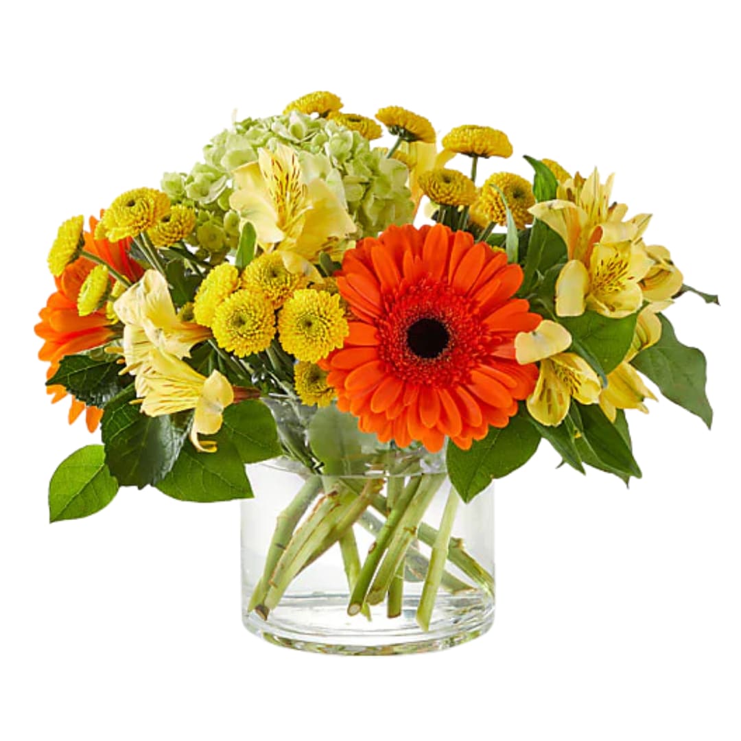 Sunlit Autumn - Bright and cheerful, this bouquet captures the warmth of a sunny autumn day with vibrant gerbera daisies, delicate alstroemeria, and lush hydrangea. Expertly arranged and ready to brighten any space or occasion.