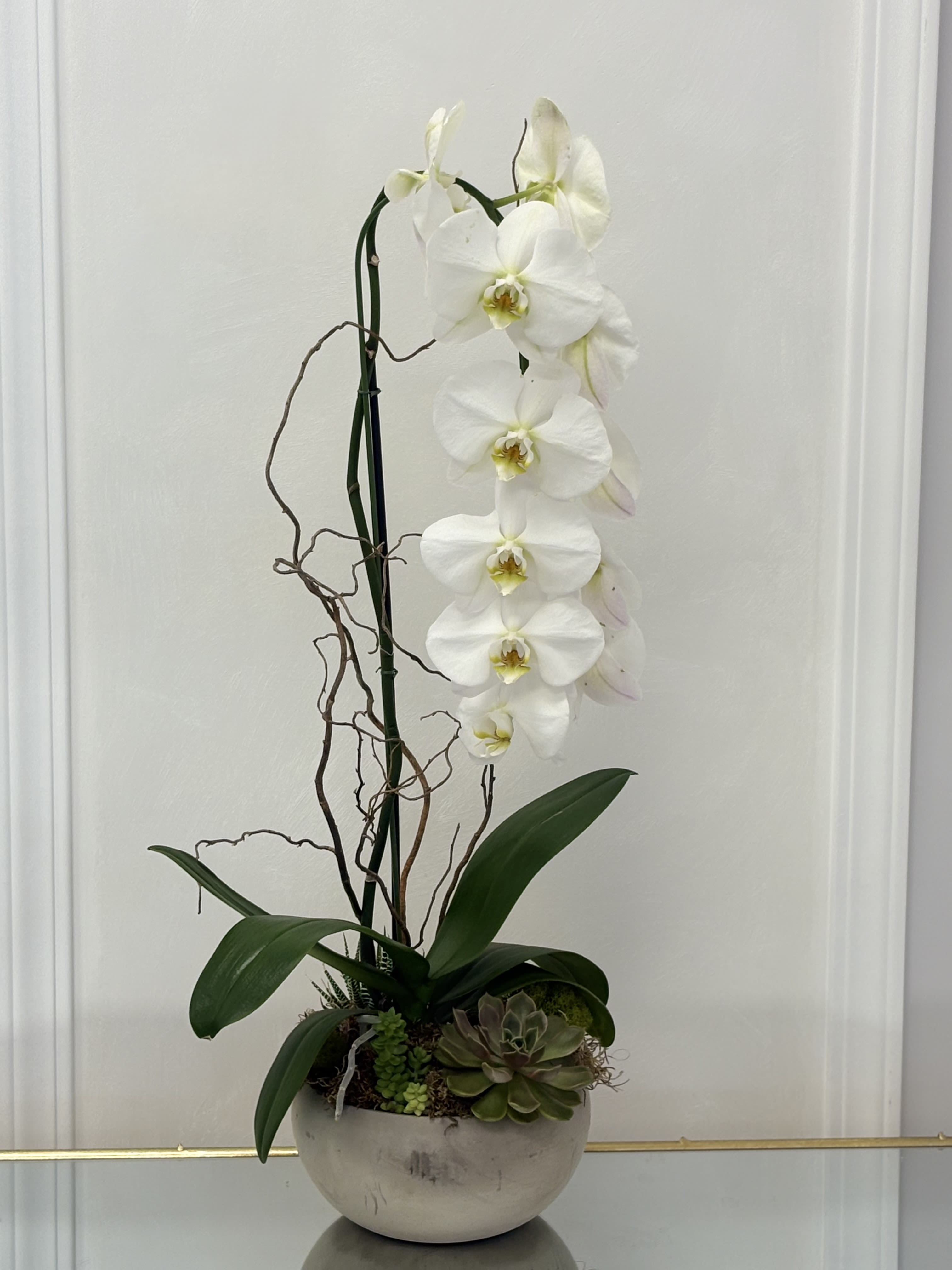Ethereal Bloom By VLM Flowers - Light as a breath and timeless in beauty, Ethereal Bloom is a graceful statement of purity. Elegant white orchids float above organic moss and sculpted succulents, all anchored in a smooth ceramic pot. The perfect choice for honoring milestones, offering condolences, or elevating your space with minimalist sophistication.