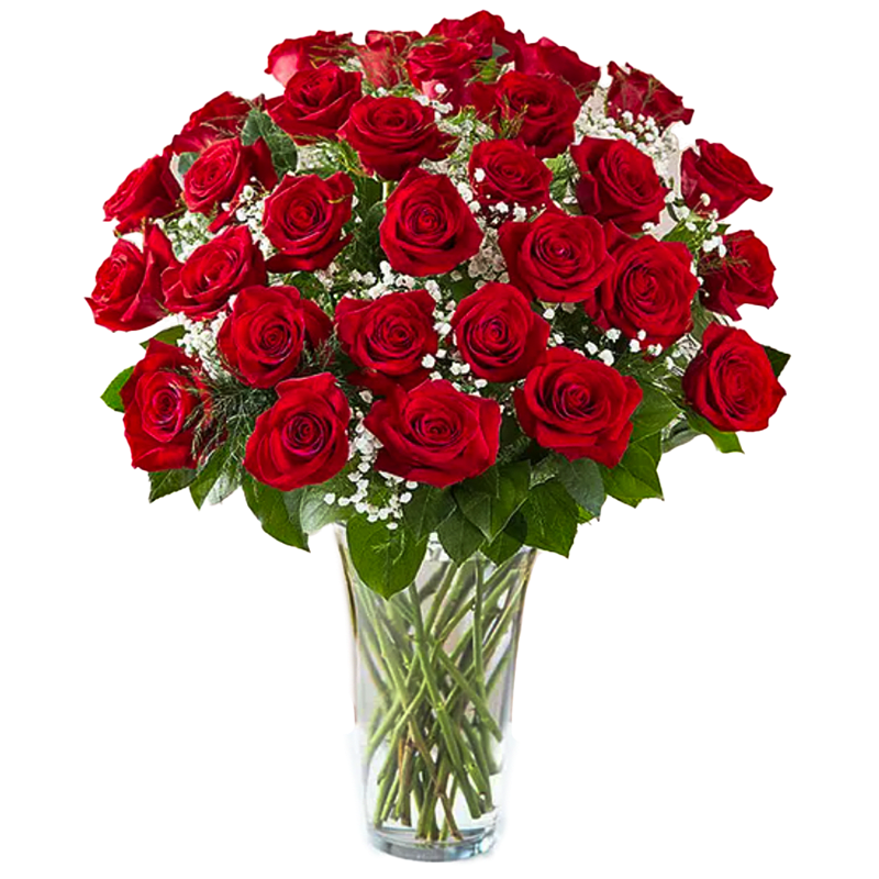 3 Dozen Long Stem Red Roses - Express your affection with this classic gesture of lasting love and passion! Our finest red roses stand royally among shimmering accents of baby's breath. This gorgeous bouquet sends your message of love directly to the heart - give the thrill of romance to someone special today!