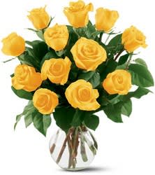One Dozen Yellow Roses in a Vase - Sun-filled yellow roses represent friendship and joy. Send these bright, cheerful dozen to convey affection and to let someone know how much you value their friendship.