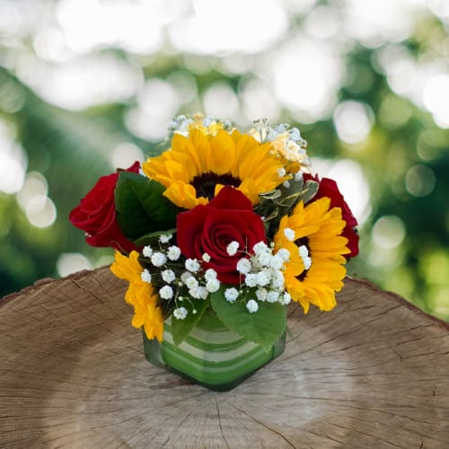 Sunny Days  - A red rose arrangement with sunflowers in a clear glass cube is a striking and vibrant display that combines romance with warmth. The deep red roses, symbolizing love and passion, provide a rich contrast to the cheerful golden-yellow sunflowers, which represent happiness and positivity.  Nestled in a modern clear glass cube, the arrangement showcases the natural beauty of the flowers while offering a sleek and sophisticated look. Lush greenery—adds texture and depth, enhancing the visual appeal. The compact design makes it perfect for a centerpiece, a heartfelt gift, or an elegant decorative accent.