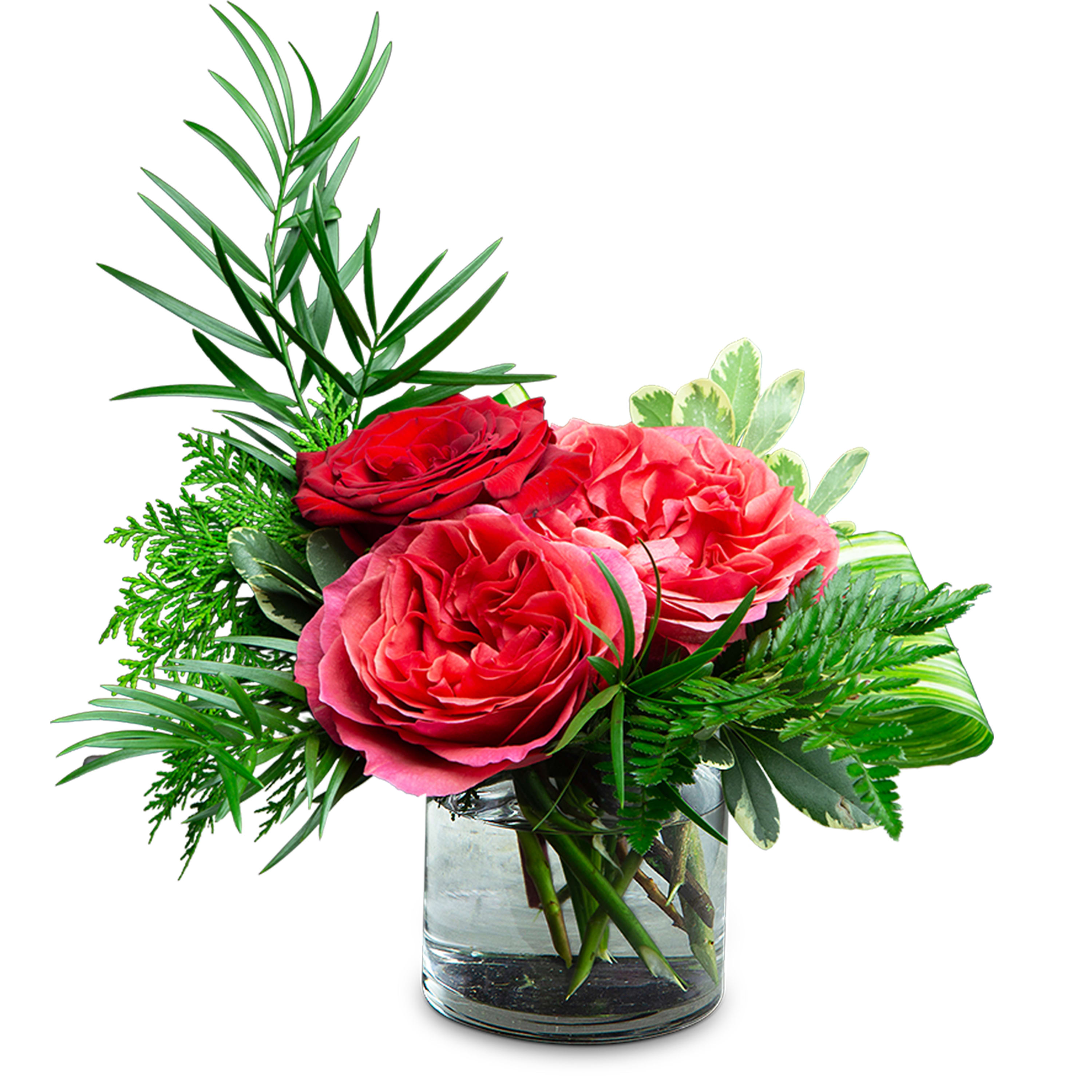 Island - TMF-1299 - You wish you could escape to an Island for a tropical retreat. Our Red Freedom and Coral roses enhance the clear glass cylinder vase. Approximately 12&quot;W X 11&quot;H