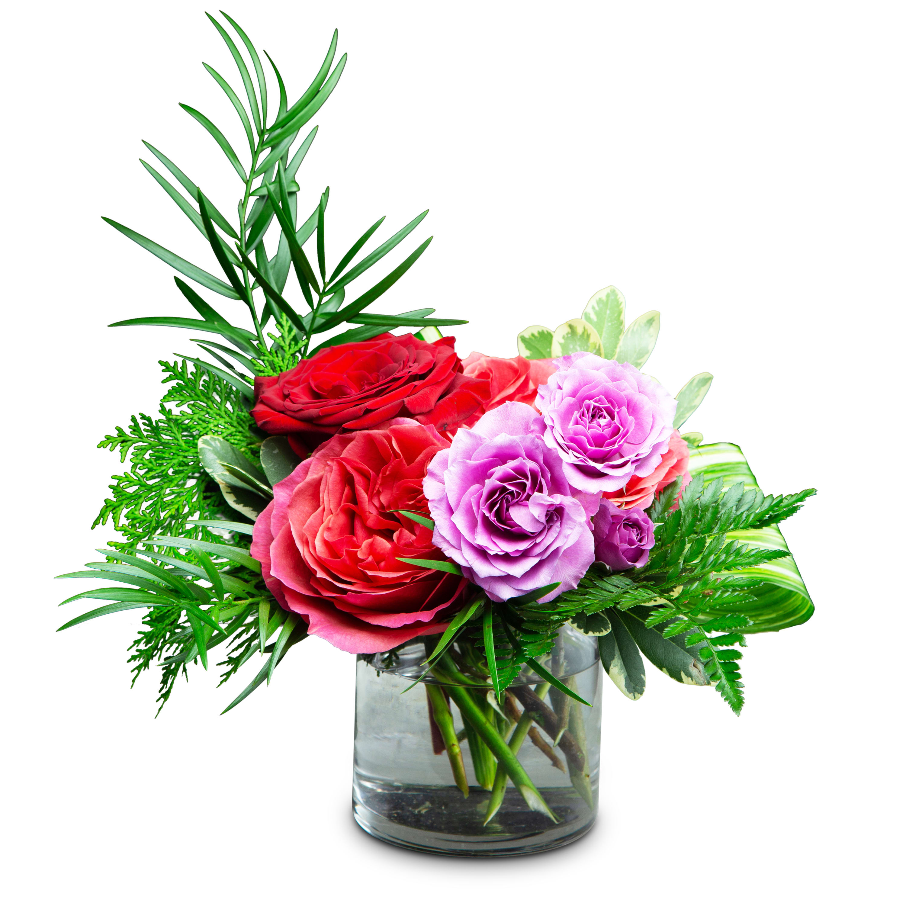 Island Romance - TMF-1300 - As romantic as the sun, sand, and water. Island Romance is the perfect mix of mystique and charm. Our clear glass cylinder vase is filled with stunning roses. Approximately 12&quot;W X 11&quot;H