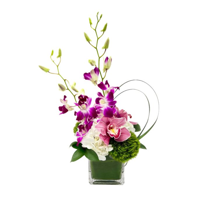 Touch of Tropics Touch of Tropics - A little touch of the tropics never hurt anyone! This blooming cube features purple dendrobium orchids, a fluffy white hydrangea, pink cymbidium orchid blooms and green trick SFD20212
