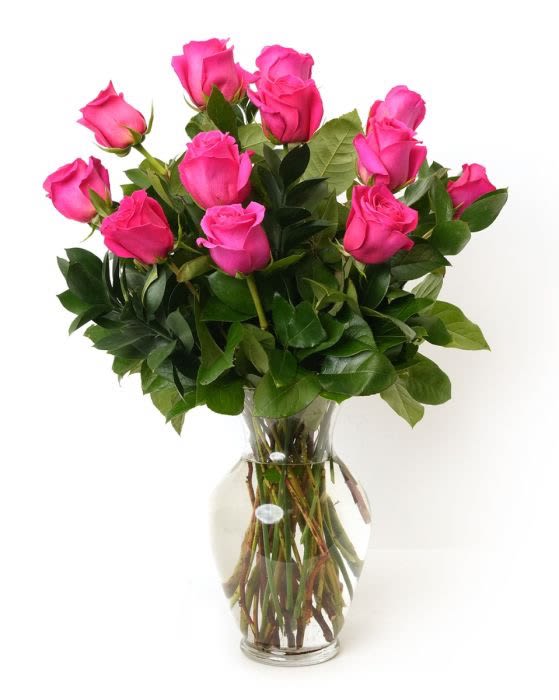 One Dozen Hot Pink Roses One Dozen Hot Pink Roses - Our classic dozen hot pink roses are designed with long-stem 70 cm roses, rich greens in a 11" clear glass urn. RHP12