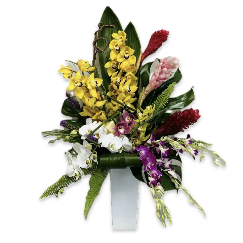 Tropical Splendor Tropical Splendor - Designed to Impress. Composed of three types of Orchids, Gingers, Liatris and tropical foliage.
