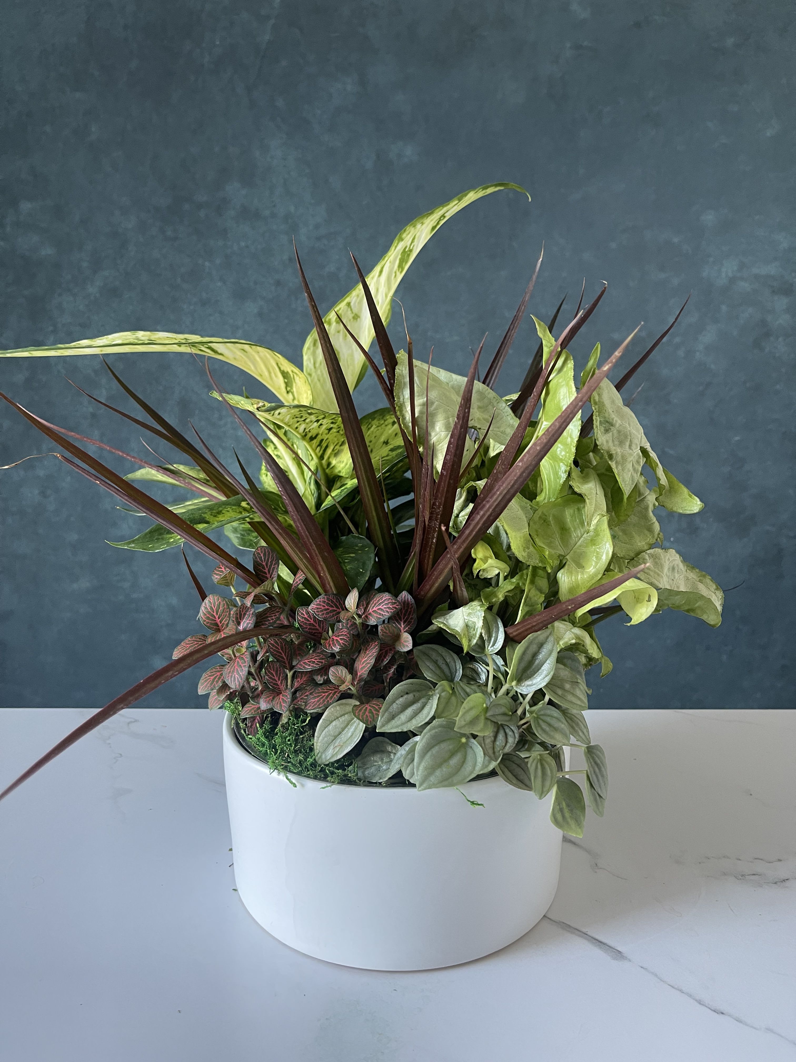 Something that last longer.  - 5 small beautiful plants. Ceramic pot color will vary. 