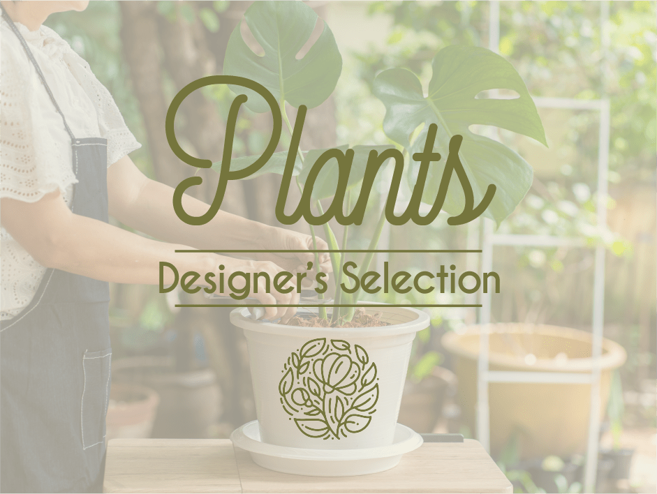 Designer's Selection: Plants Designer's Selection: Plants - Let our designers hand-pick the perfect plant to brighten any space!